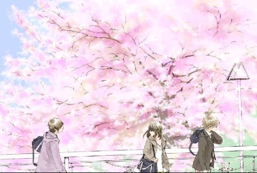 蘑菇成品人视频app